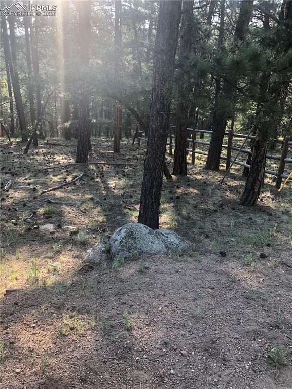 469 Echo Lake Drive, Lake George, CO 80827 — photo 4
