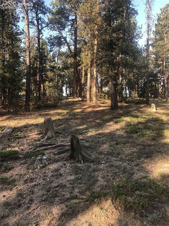 469 Echo Lake Drive, Lake George, CO 80827 — photo 5