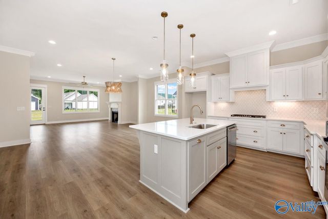 7918 Autumn Glen Drive, Owens Cross Roads, AL 35763