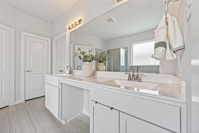 291 Little Dog Drive, Montgomery, TX 77356
