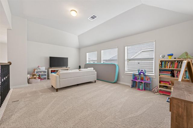 291 Little Dog Drive, Montgomery, TX 77356