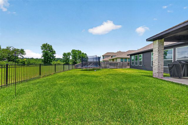 291 Little Dog Drive, Montgomery, TX 77356
