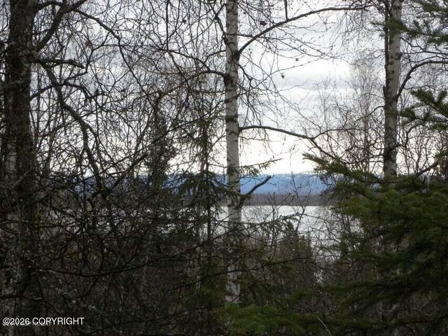 5900 S Irving Place, Big Lake, AK 99623