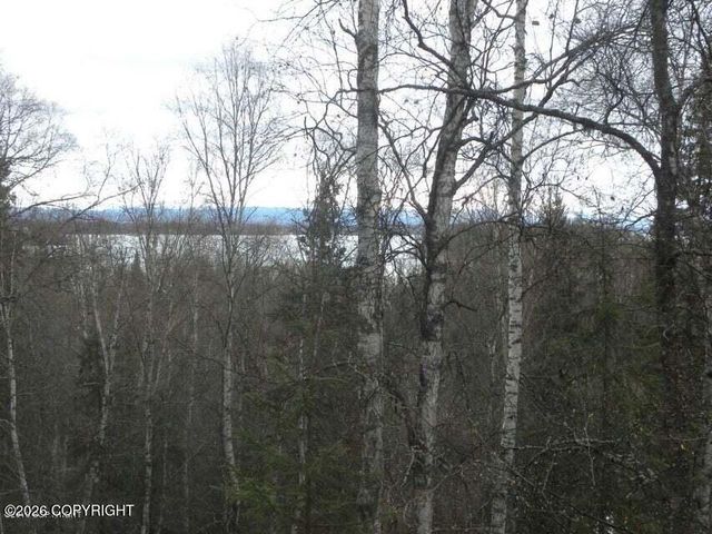 5900 S Irving Place, Big Lake, AK 99623