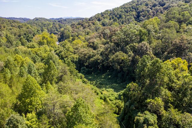 1125 Scenic River Road 71.67 Acres, Madisonville, TN 37354