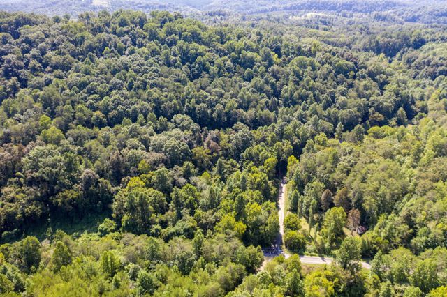 1125 Scenic River Road 71.67 Acres, Madisonville, TN 37354