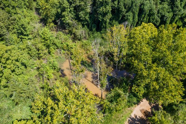 1125 Scenic River Road 71.67 Acres, Madisonville, TN 37354