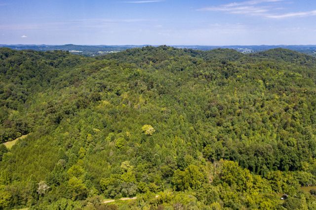 1125 Scenic River Road 71.67 Acres, Madisonville, TN 37354