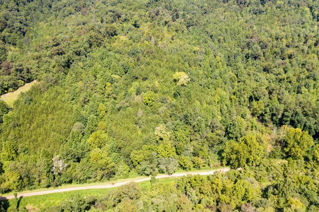 1125 Scenic River Road 71.67 Acres, Madisonville, TN 37354