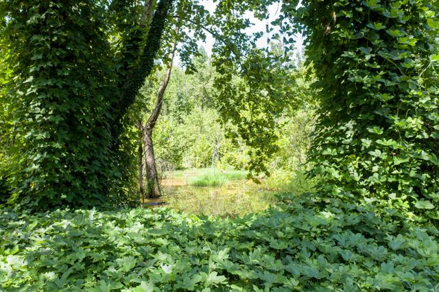 1125 Scenic River Road 71.67 Acres, Madisonville, TN 37354