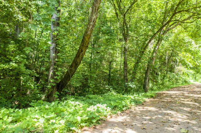 1125 Scenic River Road 71.67 Acres, Madisonville, TN 37354