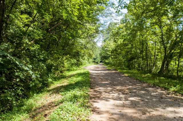 1125 Scenic River Road 71.67 Acres, Madisonville, TN 37354