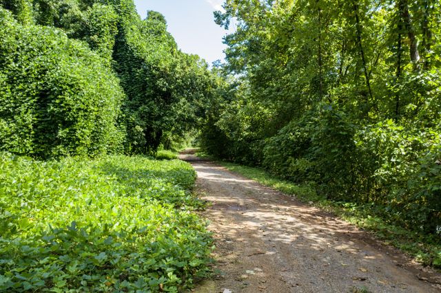 1125 Scenic River Road 71.67 Acres, Madisonville, TN 37354