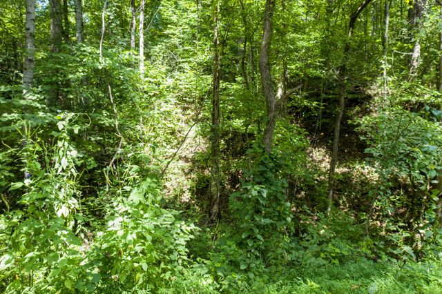 1125 Scenic River Road 71.67 Acres, Madisonville, TN 37354