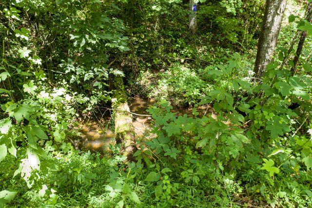 1125 Scenic River Road 71.67 Acres, Madisonville, TN 37354