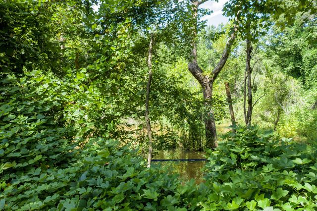 1125 Scenic River Road 71.67 Acres, Madisonville, TN 37354