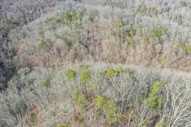 1125 Scenic River Road 71.67 Acres, Madisonville, TN 37354