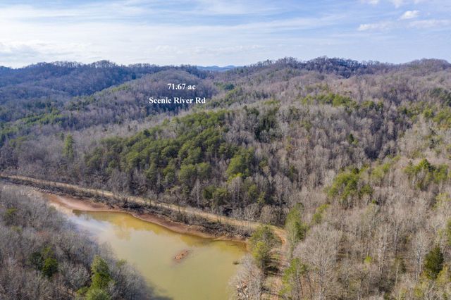 1125 Scenic River Road 71.67 Acres, Madisonville, TN 37354