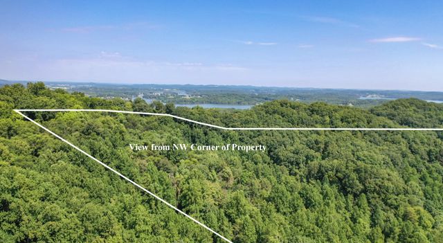 1125 Scenic River Road 71.67 Acres, Madisonville, TN 37354