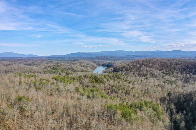 1125 Scenic River Road 71.67 Acres, Madisonville, TN 37354