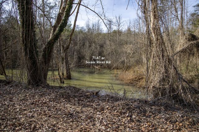 1125 Scenic River Road 71.67 Acres, Madisonville, TN 37354
