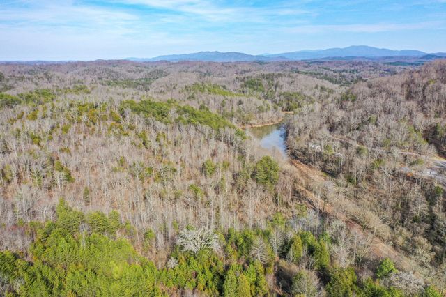 1125 Scenic River Road 71.67 Acres, Madisonville, TN 37354