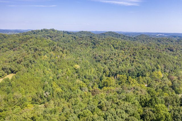 1125 Scenic River Road 71.67 Acres, Madisonville, TN 37354