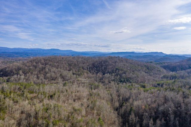 1125 Scenic River Road 71.67 Acres, Madisonville, TN 37354
