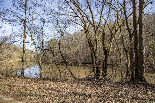 1125 Scenic River Road 71.67 Acres, Madisonville, TN 37354