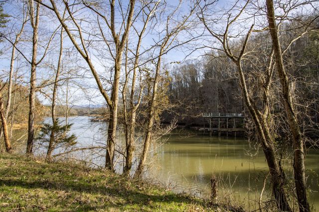 1125 Scenic River Road 71.67 Acres, Madisonville, TN 37354