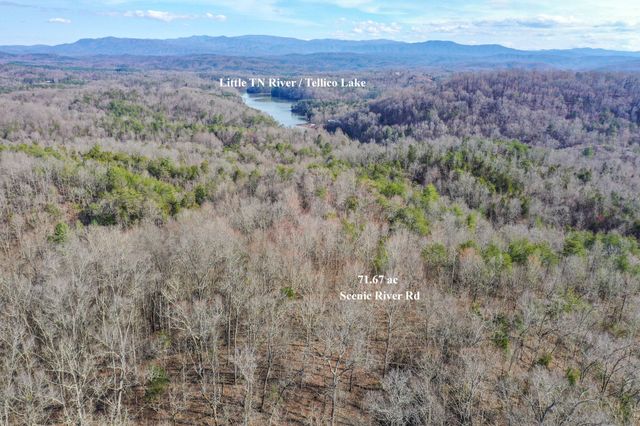 1125 Scenic River Road 71.67 Acres, Madisonville, TN 37354