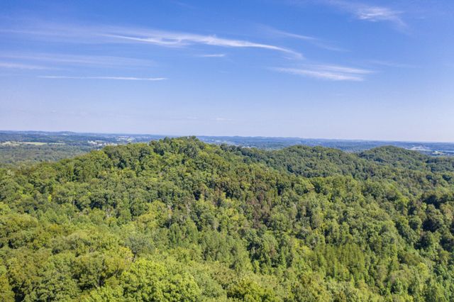 1125 Scenic River Road 71.67 Acres, Madisonville, TN 37354
