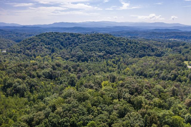 1125 Scenic River Road 71.67 Acres, Madisonville, TN 37354