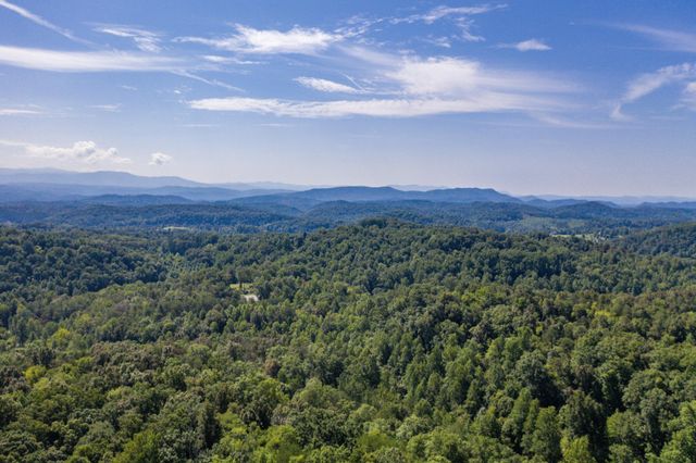 1125 Scenic River Road 71.67 Acres, Madisonville, TN 37354
