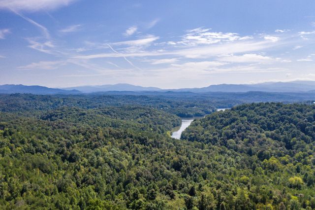 1125 Scenic River Road 71.67 Acres, Madisonville, TN 37354