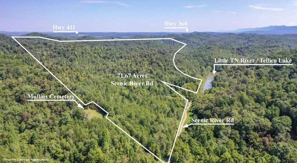1125 Scenic River Road 71.67 Acres, Madisonville, TN 37354