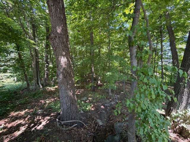 15 Myrna Rd, Lexington, MA 02420