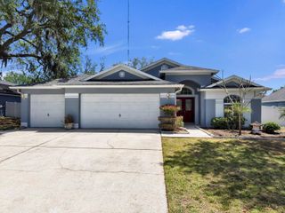 10725 DEEPBROOK DR, Riverview, FL 33569
