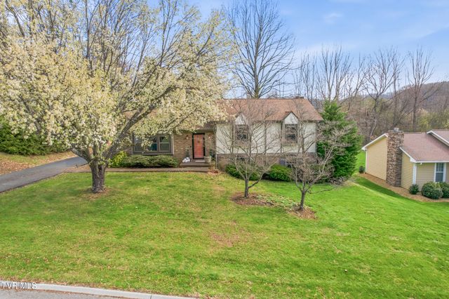 31 Stone Drive, Bristol, TN 37620