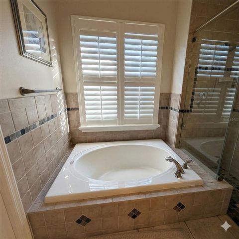 18027 PALM BREEZE DRIVE, Tampa, FL 33647