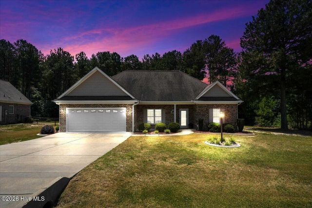 310 S Merganser Drive, Pikeville, NC 27863