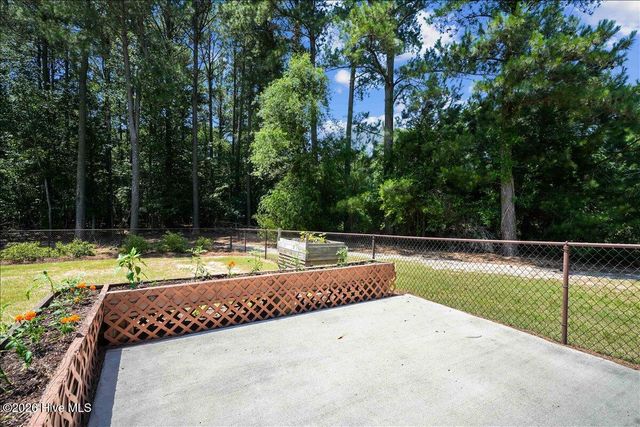 310 S Merganser Drive, Pikeville, NC 27863