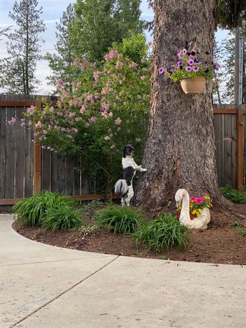 820 N Vernon Ave, Deer Park, WA 99006