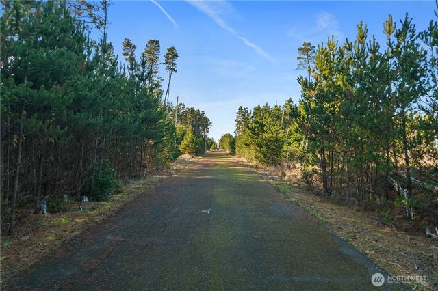 0 Lot 4 212th Lane, Ocean Park, WA 98640