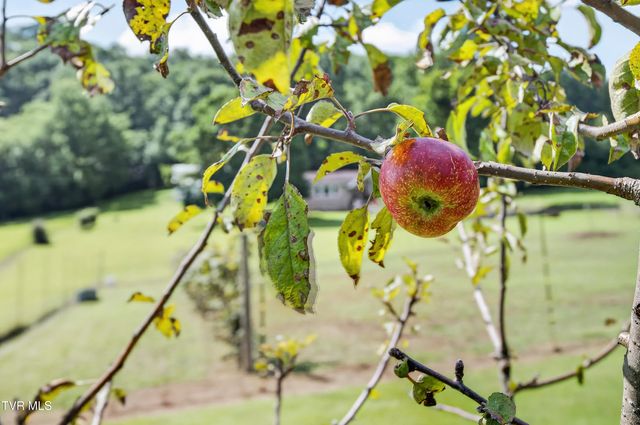 13422 Countiss Road, Abingdon, VA 24210