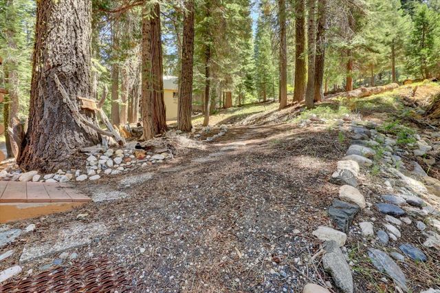 351 Silvertip Springs Dr, La Porte, CA 95981