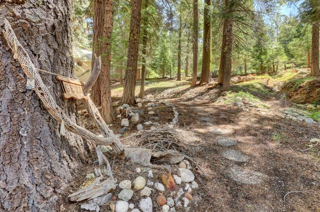 351 Silvertip Springs Dr, La Porte, CA 95981