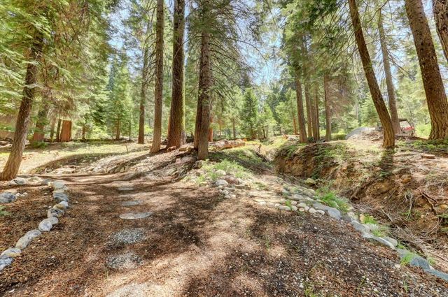 351 Silvertip Springs Dr, La Porte, CA 95981