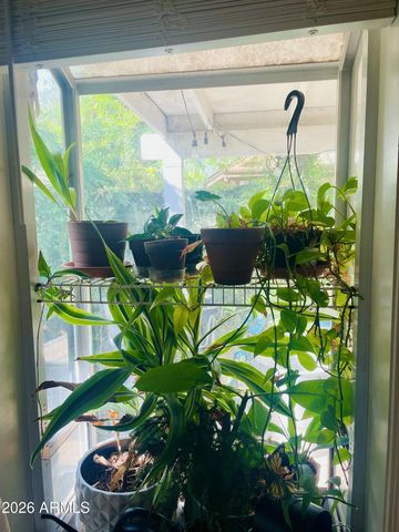 5230 W JUPITER Way N, Chandler, AZ 85226