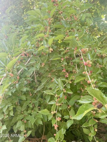 5230 W JUPITER Way N, Chandler, AZ 85226